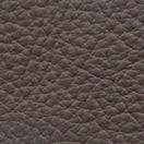 Coating Leather