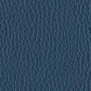 Coating Leather